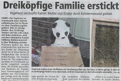 Zeitungsartikel: Dreiköpfige Familie erstickt. Vogelnest verstopfte Kamin: Mutter und Kinder durch Kohlenmonoxid getötet.